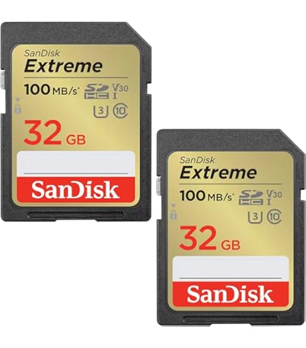 Carte Mémoire Flash Maxtor Mobile Max 7 Mo – PCMCIA – Avec Étui – Occasion