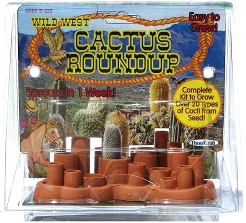 Preisvergleich Produktbild DuneCraft Cactus Gardens Wild West Cactus Roundup