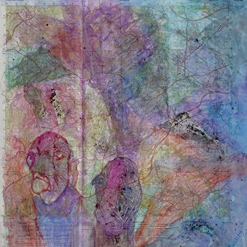 Diamondbacks Make Wonderful Pets [VINYL]
