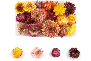 Tomedeks Natural Dried Flowers Dried Embossed DIY Preserved Flowers Resin Jewelry Nails Crafts Scrapbooking Floral Decor (D)