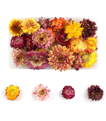 SUKORI 100 pièces Fleurs séchées Naturelles Marguerite Paille sèche têtes de chrysanthème décoratif Bougie à bricoler soi-même décor de Mariage à la Maison pour l'artisanat