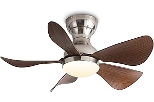 ycwdcz Ø73cm Lampadario con Ventilatore da Soffitto LED 3 CCT Selezionare Reversibile Plafoniera Ventilatore Silenzioso 5 Pale 6 Velocità Motore DC Lampada con Pale Ventilatore per Cameretta Cucina