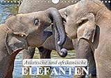 Asiatische und afrikanische Elefanten (Wandkalender 2019 DIN A4 quer): Die größten und schwersten Landsäugetiere der Erde (Monatskalender, 14 Seiten ) (CALVENDO Tiere) by