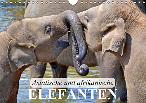 Asiatische und afrikanische Elefanten (Wandkalender 2019 DIN A4 quer): Die größten und schwersten Landsäugetiere der Erde (Monatskalender, 14 Seiten ) (CALVENDO Tiere)