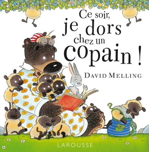 couverture de : ce soir,je dors chez un copain!