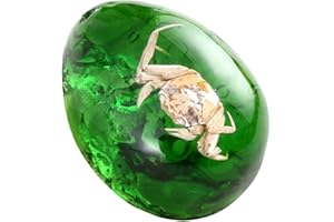 FUNRELAXER Bernstein Fossil mit Insekten Proben Steine Kristall Exemplare Insekten Exemplar Bernstein Anhänger DIY Schmuck Anhänger