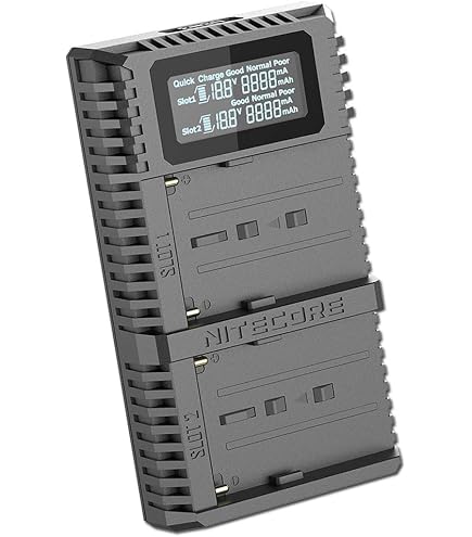 Sony Kamera 2X Blumax Akku Für Sony NP-F550 / NP-F570 | 2400mAh 7.4V Wella Color Fresh