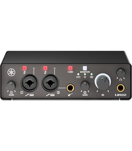 Steinberg UR824 Audio Interface : Amazon.in: Musical Instruments