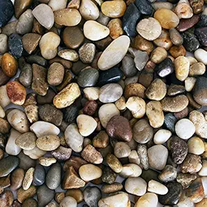 Foodie Puppies Natural Polished Gravels River Rocks Decorative Stones, Filler for Plants, Aquariums, Crafting, Landscape - Multipurpose Uses Stones (Polished Gravel, 3kg)