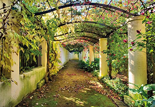 FOTOTAPETE ,,Wedding Time 106′ 366 x 254cm Blumen Hochzeit Garten Pflanzen Wintergarten Pergola Romantik Liebe Tapete inklusiv Kleister - 2