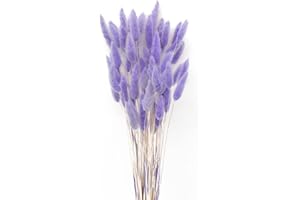 JKDHJK Pack of 50 Pampas Grass Dried Flowers, Natural Bouquet Withers, Never Dried Flowers, Boho Decoration, Super Fluffy for Table Decoration, Bedroom (Light Purple)
