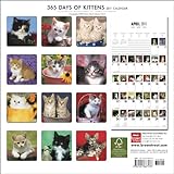 Image de 365 Days of Kittens 2011 Calendar