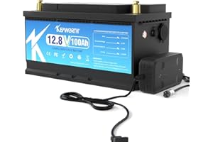 DEESPAEK Akumulatory głębokiej pracy cyklicznej LiFePO4 z 100 Ah 12,8 V, kumulatory litowe głębokiego rozładowania, idealny do łodzi, obozowicz, do trollingu, kosiarki, Energetyka słoneczna i wiatrowa