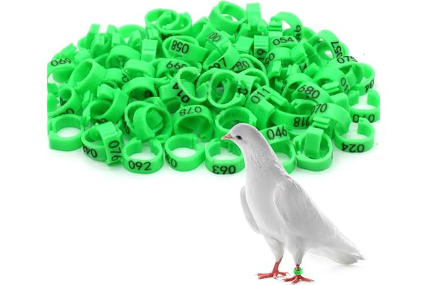 Andiker 100 Pièces Pigeon Anneaux, 8mm Bird Leg avec Anneaux en Plastique, Anneaux d'identification pour Oiseaux, perroquets, pigeons, cailles et jeunes oiseaux (Vert)