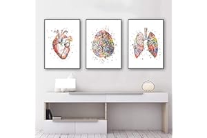 KXHHYB Set di 3 poster anatomici da parete con cuore, cervello, anatomia umana, ospedale, clinica, arte da parete, medica, senza cornice (A, 30x40cm*3)