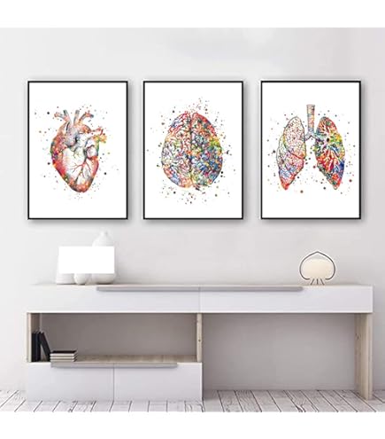 Stampa acquerello di scheletro anatomico: poster di anatomia medica, decorazione per studio medico - Italia