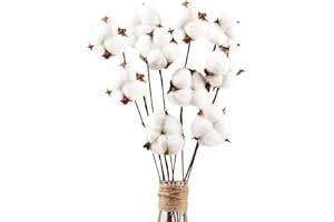 LARBER 10 pezzi fiori artificiali decorazione bianca fiori in cotone secco gambo lungo, simulazione naturale e stile originale, per decorazione di vasi casa di campagna, matrimoni