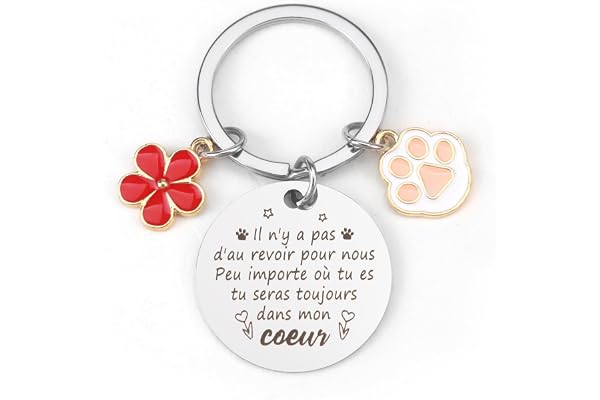 Cadeau Souvenir Chien Chat Décédé Porte Cle Souvenir Cadeau Objets Commémoratifs Pour Chiens Cadeau Commémoratif Chien Chat Cadeau De Perte De Sympathie Pour Chien Chat Empreinte Mémorial Chien Chat