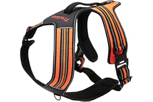 TRUE LOVE Réfléchissant Harnais De Chien Réglable Décourager Tirer Pet Gilet Durable en Nylon De Voiture TLH5551 (Orange, XL)