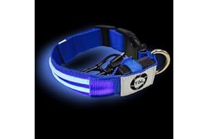 TDL MARKET TDL Collare LED Luminoso per Cani | Impermeabile | Ricaricabile USB | Addestramento e Passeggiate Notturne | 3 modalità di Funzionamento | Batteria a Lunga Durata (S, Blu)
