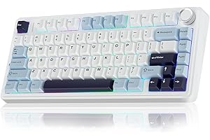‎AULA AULA F75 Mechanische Tastatur Gaming,2.4GHz/Type-C/BT5.0 Mechanical Keyboard mit Knopf,Fünfschichtige Gefüllte Struktur,RGB,QWERTY,Hot-Swap,Creamy Kabellos Gaming Tastatur 75 Prozent (Gletscherblau)