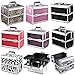Beyondfashion Black Beauty Box Beauty Jewellery Storage Bag Nail Saloon Case (Leopard)