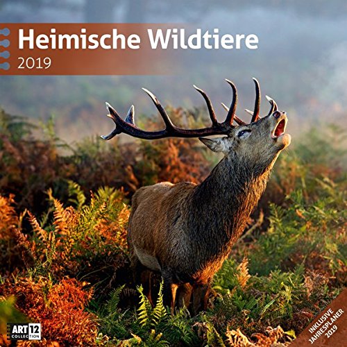 Heimische Wildtiere 2019, Wandkalender / Broschürenkalender im Hochformat (aufgeklappt 30x60 cm) - Kalender mit Monatskalendarium zum Eintragen