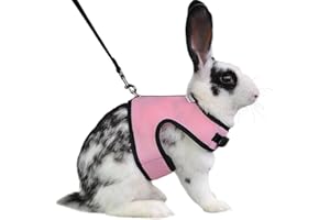 LuLiyLdJ Rosa Pettorina Coniglio Nano, Guinzagli per Animali Piccoli, Accessori per Conigli e Criceti, Confortevole Imbracatura con Elastico Guinzaglio (M)