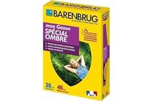 Mon Gazon Spécial Ombre - Barenbrug - 1Kg