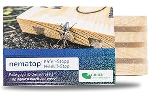 Dickmaulrüssler bekämpfen | e-nema Fangbrett mit SC Nematoden für 5 m² | nematop Käfer-Stopp