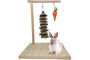 PINVNBY Kauspielzeug für Kaninchen Apfelholz Naturgras Kuchen Kaninchen Krallen Kratzbrett Hamster Holzschleifbrett mit Karotte für Chinchilla, Eichhörnchen Meerschweinchen 3 Stück