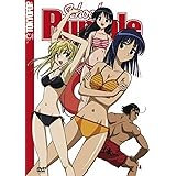 School Rumble, Vol. 4