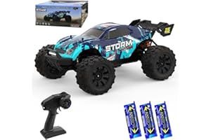 X-Verse 1:14 100KM/H Ferngesteuertes Auto, 4WD Wasserdichtes RC Autos mit 3S Bürstenloser Motor, 2.4GHz All Terrain Offroad RC Truck Truggy für Erwachsene - 3 Batterien(Blau)