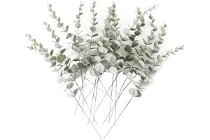 Hobyhoon 15 Stück Eukalyptus Künstliche Pflanzen Deko, echte Berührung Gefälschte Silberdollar Pflanzen für Hochzeitsstrauß (Grün-15pcs)