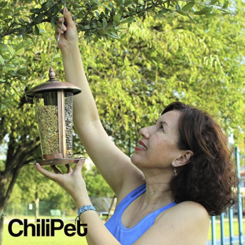 Die beste Vogelfutterstation, perfekt für den Garten, großartige Futterstationen für kleine bis mittelgroße Vögel, leicht zu reinigen und zu befüllen, inklusive Aufhänger für die Futterstation. (Copper) - 2