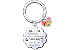 LUODAN Cadeau Soeur Porte-clés,Porte-clés de Soeur,Cadeau de fête des Mères,Femmes au foyer,Cadeaux d'anniversaire,Cadeaux de Famille