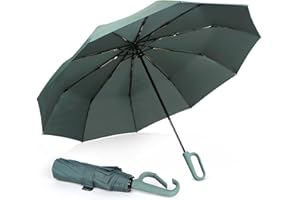 TUMAAOTU carabiner clip umbrella, Compact Folding Travel Small Umbrella, Umbrella Windproof strong Wind Resistant with Automatic Open Close, 10 Ribs, Portable Umbrellas for Men and Women