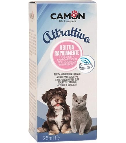 Kattenurine Verwijderen Met Stoomreiniger - The e