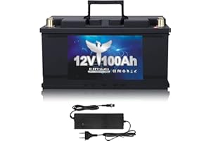 ‎ELFHUB Elfhub 12V 100Ah LiFePO4 PLUS Lithiumbatterie mit USB Anschluss, Deep Cycle Batterie mit Verbessertem 100A BMS, Max. 1280W Energie, bis zu 15000 Zyklen für Wohnmobil, Solar, Trolling-Motor und Camping