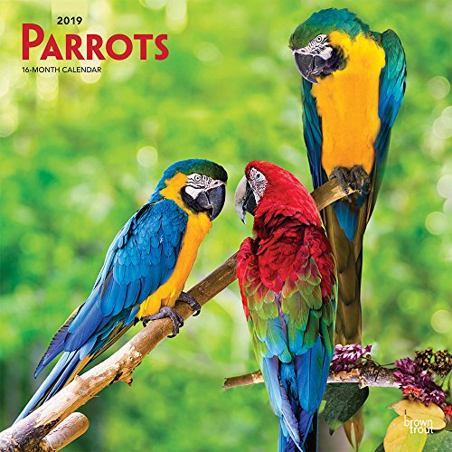 Preisvergleich Produktbild Parrots - Papageien 2019 - 18-Monatskalender (Wall-Kalender)