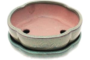 EXOTENHERZ Bonsaï Bol avec sous assiette Taille 3 – Olive/marron – haitang/ovale – Modèle i5 – L 17 cm – B 14 cm – H 5,5 cm