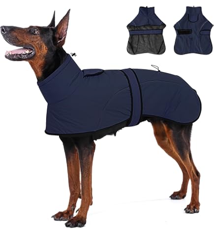 Reaktive Hundejacke – Warnweste 'Dog Reactive Training', Wasserabweisend, Größe M