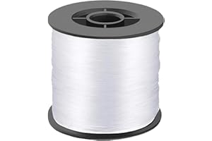 DAJISI Clear Fishing Line, 200M Monofilament Fishing Line 0.8mm 40lb Invisible Nylon Wire Corrosion Protection Fishing Wire for Saltwater Freshwater Fishing Garland Balloon