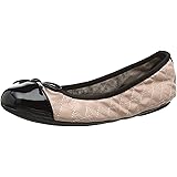 butterfly twists mexico