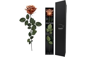 LA ROSEE ETERNELLE Rosa Eterna Perfumada 48 cm – Flor Natural Preservada de Ecuador – Regalo Romántico para Mujer : Cumpleaños, San Valentín, Boda o Día de la Madre – Color : Rose Gold