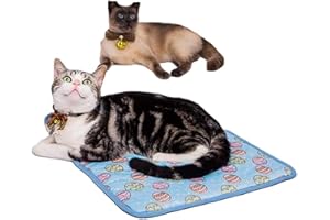 DELIFUR Pet Cooling Mat Cat Dog Cushion Pad Summer Cool Down Comfortable Soft for Pets and Adults (L, Blue)