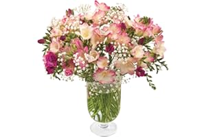 Sendabunch Fresh Pink Freesia Bouquet with 30 Sweetly Scented Stems - Hand-Picked Channel Island Flowers With 8-Day Freshness Guarantee - Perfect for Birthdays, Anniversaries & Special Occasions