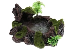 FLAMEER 1Pc Lizard/Leopard/Gecko/Spider/Scorpion/Chameleon/Snake Moss Decoration Resin Dish Reptiles Food or Water Tray Worm Bowls Mealworm Feed Feeder