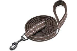 WINHYEPET True Love Chien Laisse Nylon Réfléchissant Poignée Confortable Lead Puppy Training Marche Corde Contrôle Facile Applicable à Toutes Les Races Longueur 110 cm TLL2111(Marron,M)