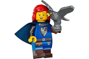 LEGO Collectable Minifigures Series 24 - Falconer with Stand and Accessories 71037 (Bagged)